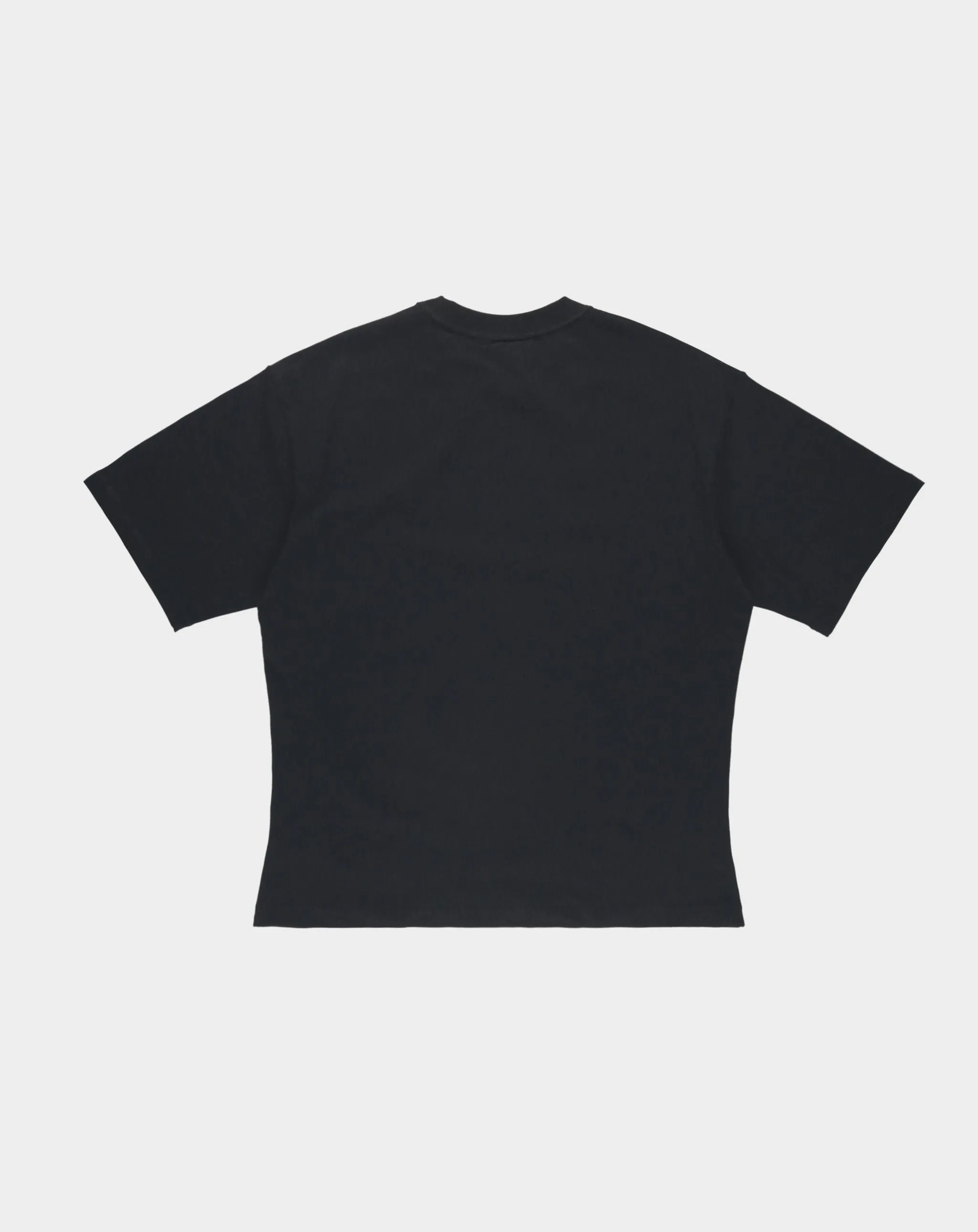 Crop T-Shirt Blank
