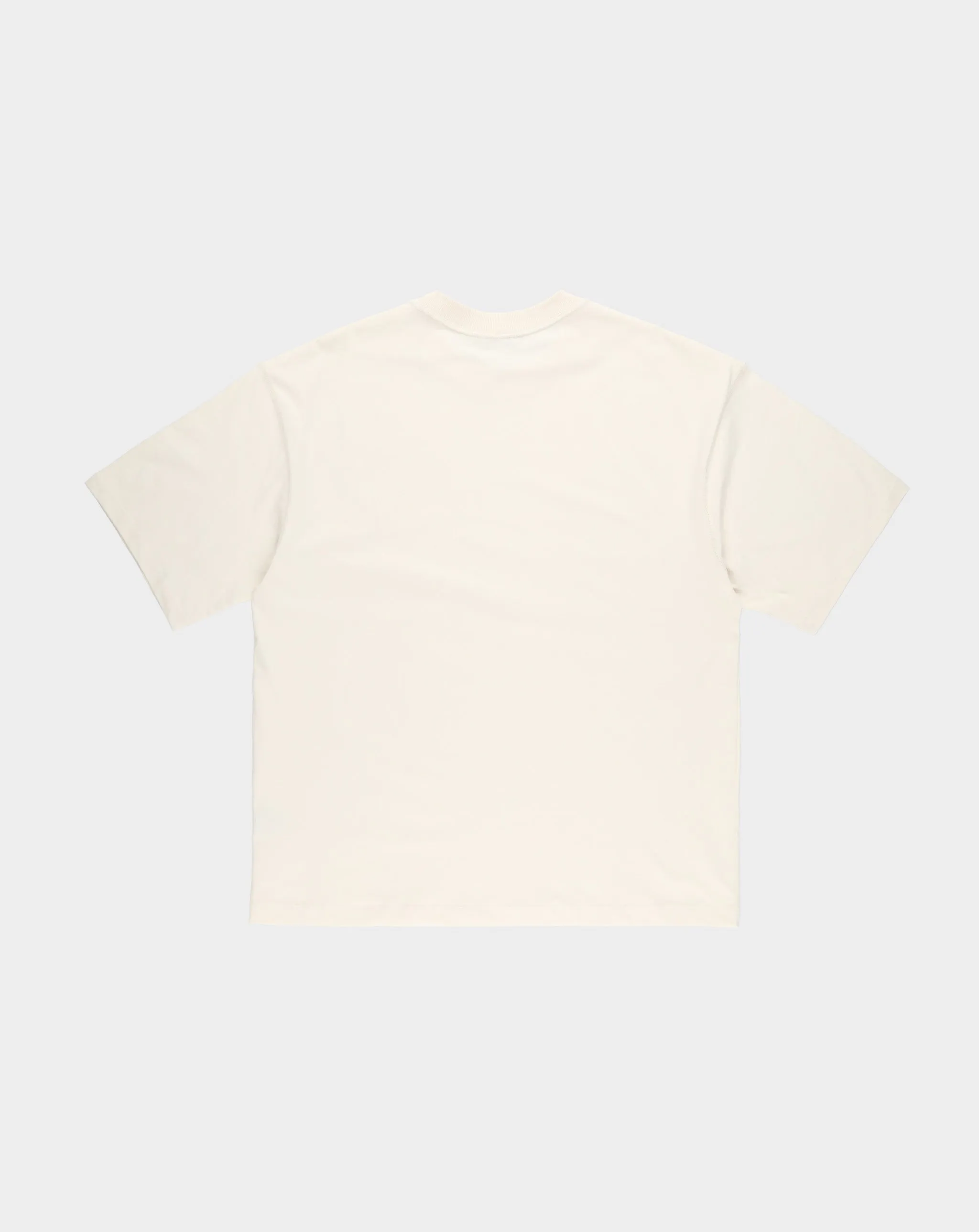 Crop T-Shirt Blank