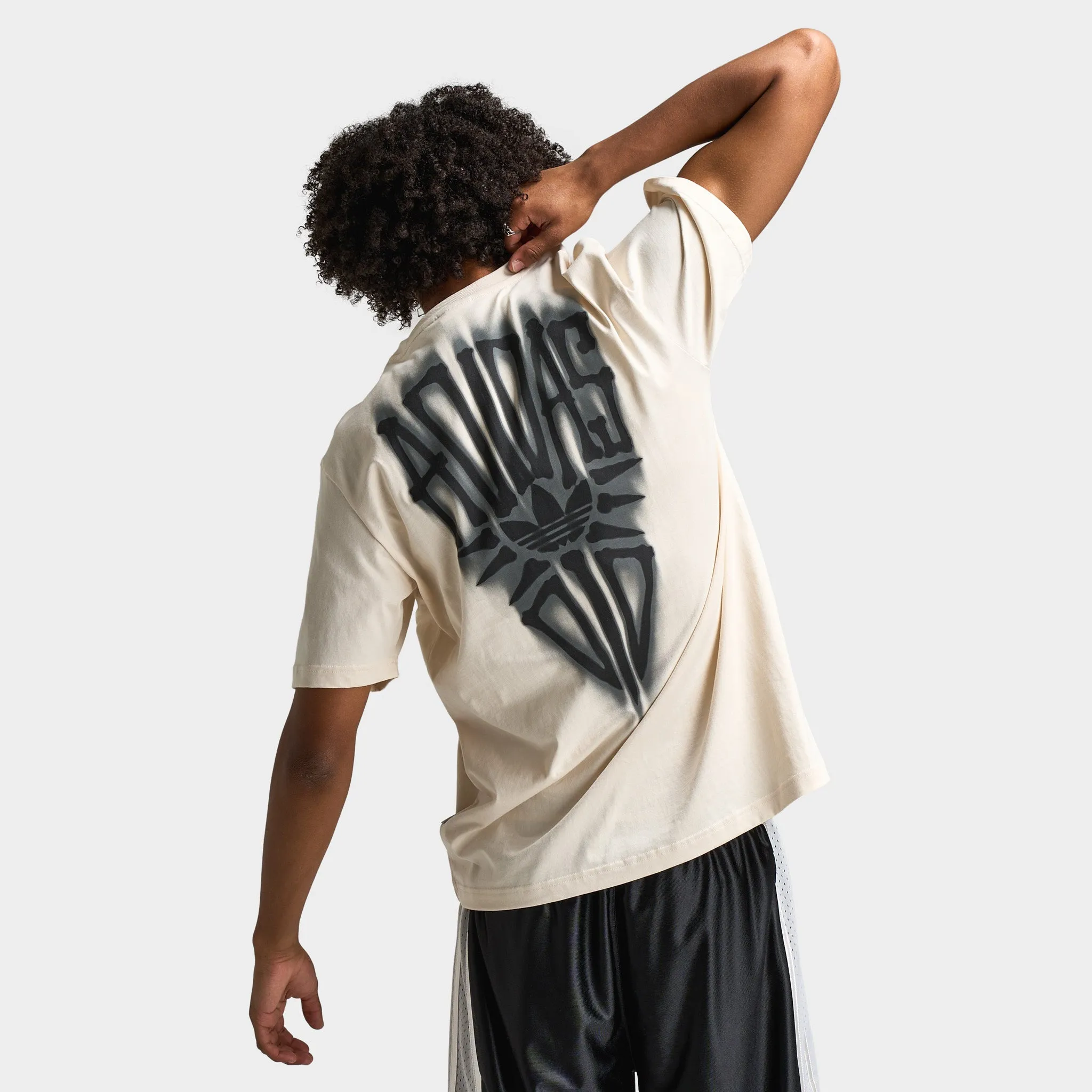 Mens Adidas adidas Skeleton Graphic T-Shirt / Wonder White