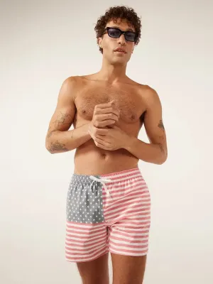 Mens Johnnie-O Chubbies 5.5-Inch The Mericas Swim Trunks - Multi
