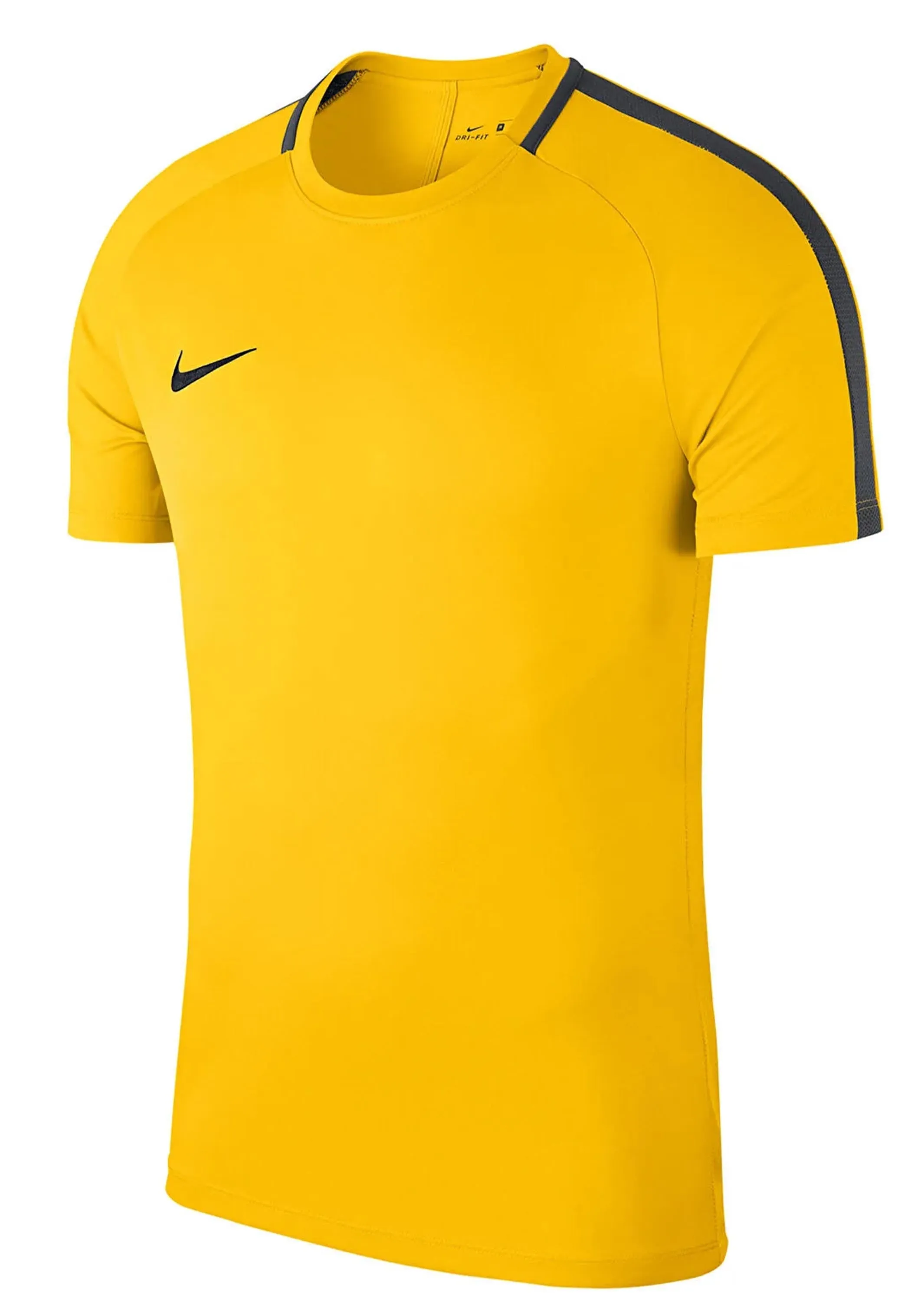 Nike Men's Academy 18 S/S Top