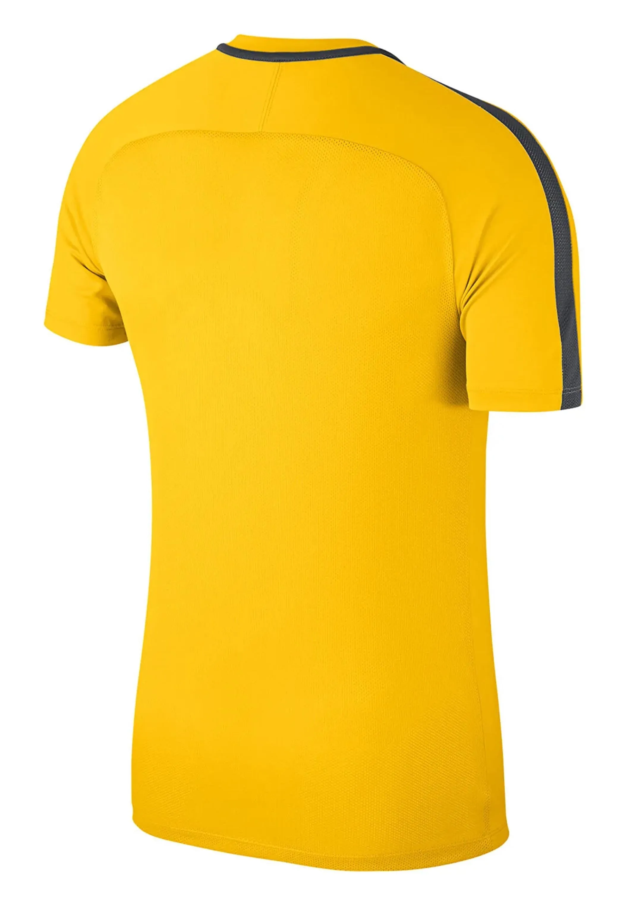Nike Men's Academy 18 S/S Top